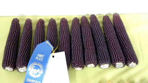 Walker’s Prairie Harvest Popcorn Ruby Red 12 Oz